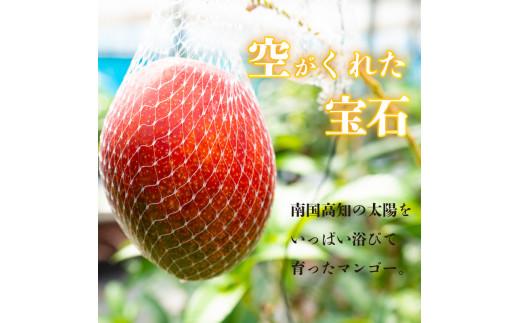 ãæ©æäºçŽãã2026幎5æäžæ¬ããçºéããã³ãŽãŒ ç§å 2~4ç(L) 900gä»¥äž æç© å®ç ãã«ãŒã ååœ å®çãã³ãŽãŒ æééå® ã®ãã èŽççš ãµãããšçŽçšãã³ãŽãŒ çå³ ãã¶ãŒã çã ç£å°çŽé ãè€çŸ ãäžå
é«ç¥ç é åŽåž SKN002_x