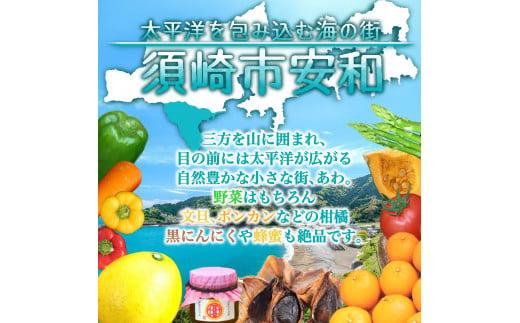 定期便 3回 3ヶ月 旬 野菜 詰め合わせ セット 12~13品目程度 やさい 毎月 届く 産地直送 あわ地区 旬の野菜 ベジタブル キット 季節野菜 高知 須崎 国産 人気 頒布会 AWA1000