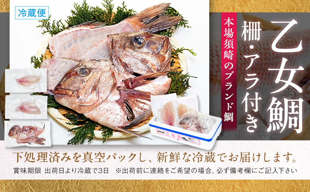 本場須崎のブランド鯛 ｢ 乙女鯛フィーレ ｣ アラ付き 2尾 セット 約2kg 冷蔵 刺身 お刺し身 タイ 鯛 高級魚 鮮魚 海鮮 魚介 煮付け アラ汁 高知県 須崎市 魚 マダイ 真鯛