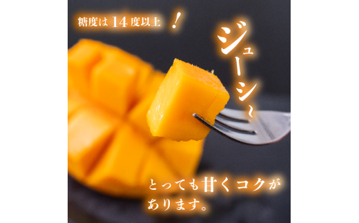 ãæ©æäºçŽãã2026幎5æäžæ¬ããçºéããã³ãŽãŒ ç§å 2~4ç(L) 900gä»¥äž æç© å®ç ãã«ãŒã ååœ å®çãã³ãŽãŒ æééå® ã®ãã èŽççš ãµãããšçŽçšãã³ãŽãŒ çå³ ãã¶ãŒã çã ç£å°çŽé ãè€çŸ ãäžå
é«ç¥ç é åŽåž SKN002_x