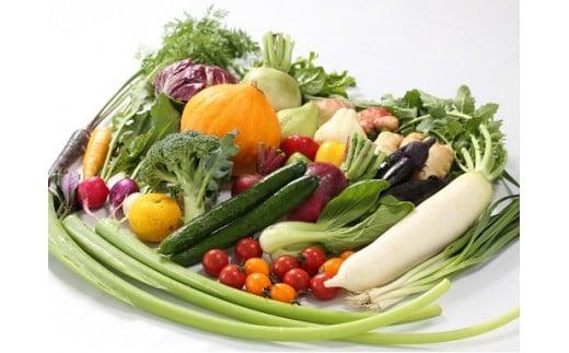 å®æäŸ¿ 4å éè ããŸãã ã»ãã 10 ? 14çš® æ¥å€ç§å¬ ãªã°ãª æ°çãã ããè± ã¹ãããããã©ã æ¥ãã£ãã ãã«ãŒãããã ãããè ã¿ããã ãºãããŒã ãªã¯ã© ããŒã¡ã ãããªãè± ããã 空å¿è è±ãã© ãã€ãŸè æ ç§è± ãããã éæãããã ãã¯è èµ€å€§æ ¹ çœå€§æ ¹ ãã¶ ã«ãªãã©ã¯ãŒ çœè ãããã³ãªãŒ èãã³ã㯠ãã é åŽ é«ç¥ é åžäŒ HNT2000