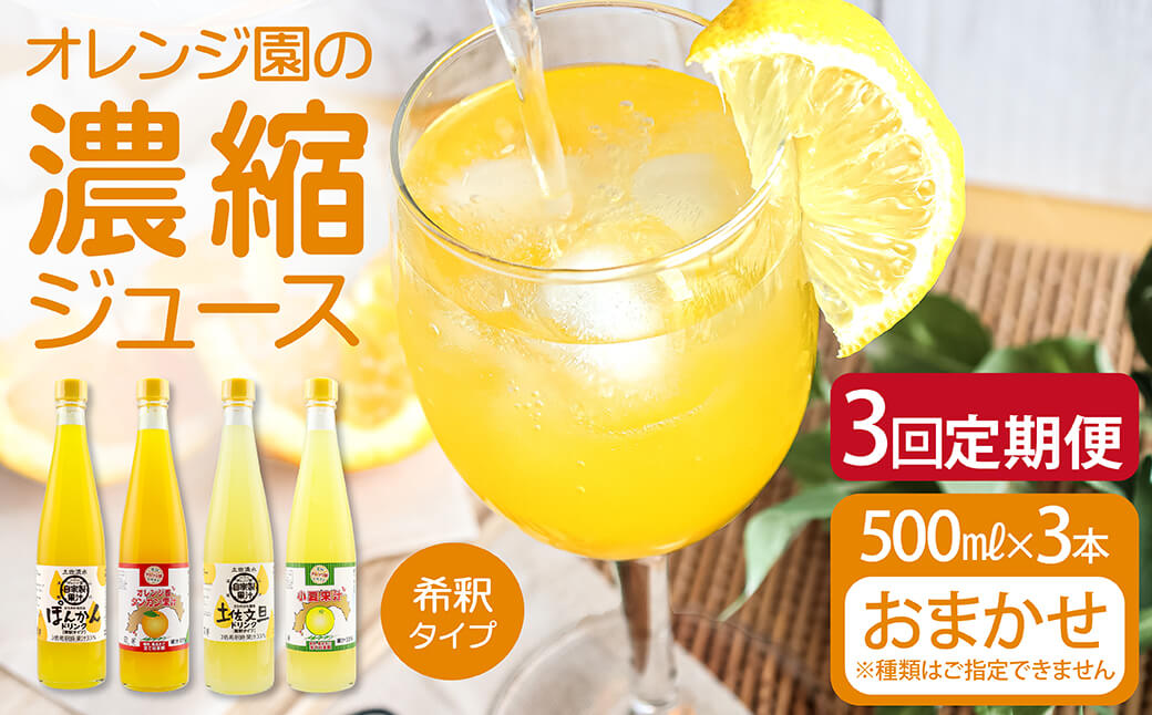 オレンジ園の濃縮ジュース 500ml おまかせ3本入り 3回定期便 希釈用 みかんジュース チューハイ用 ドリンク ジュース 柑橘類 蜜柑 みかん【J00110】