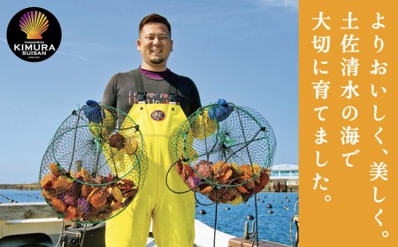 ヒオウギ貝22個セット（ホタテの仲間）アウトドア キャンプ 海鮮BBQ 魚貝  生 貝殻付 活 貝柱 酒蒸し バーベキュー【R00343】