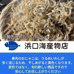 浜口海産物店のちりめんじゃこ（70ｇ× ３袋セット）シラス 無添加 釜揚げ しらす丼 ちりめん丼 おためしセット 小分け お試し おつまみ 料理 地元特産 海産物 無添加【R00794】