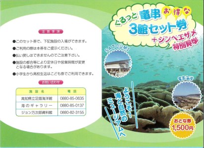 水族館・資料館・展示館　ぐるっと竜串　お得な3館入場券セット（大人１名用）高知県土佐清水市 観光チケット 旅行券 トラベル【R00107】