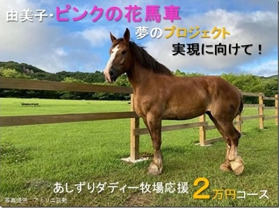 由美子・ピンクの花馬車夢のプロジェクト実現に向けて！あしずりダディー牧場応援（２万円コース）クラウンドファンディング クラファン 馬主 競馬 動物【R00576】