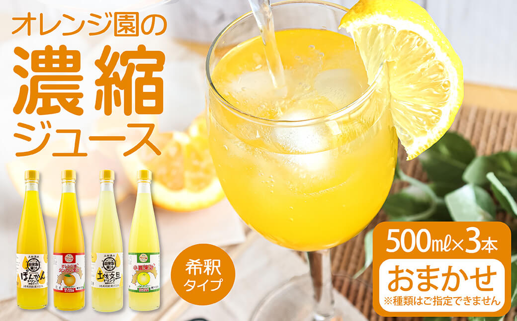 オレンジ園の濃縮ジュース 500ml おまかせ3本入り 希釈用 みかんジュース チューハイ用 ドリンク ジュース 柑橘類 蜜柑 みかん【R01121】