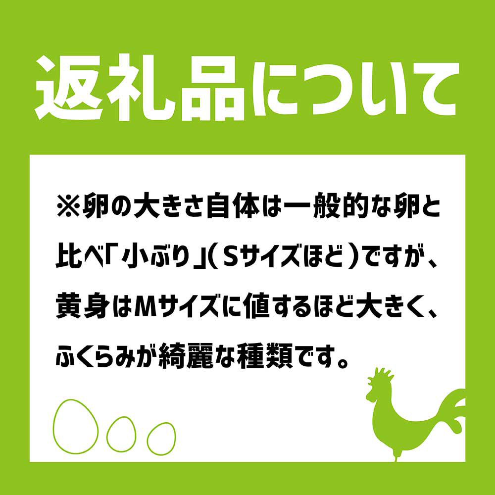 【ふるさと納税】土佐ジローの卵 定期便（25個入り×12回）もみ殻梱包 ブランド卵 タマゴ たまご 卵 毎月 定期コース 土佐ジロー 卵焼き 卵かけごはん 卵料理 送料無料 お取り寄せ【J00137】