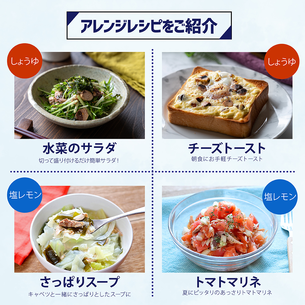 【12回定期便】鰹BAR for Sportsミックス10本（しょうゆ味5本+塩レモン味5本）カツオ スポーツ 筋トレ ダイエット 災害備蓄 栄養補給 シーチキン たんぱく質【J00159】