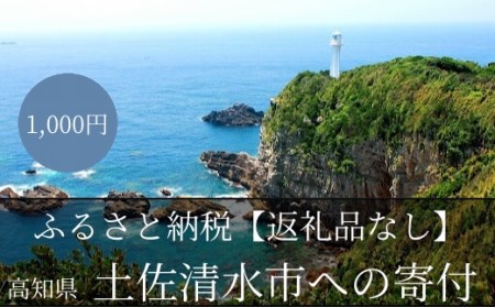 【返礼品なしの応援1】高知県土佐清水市 足摺岬 大自然 さかなのまち まちづくり 1000円 千円 ふるさと 地域 環境 海山川 遍路道 おまかせ 支援 応援 寄付金 寄付のみ【R00001】