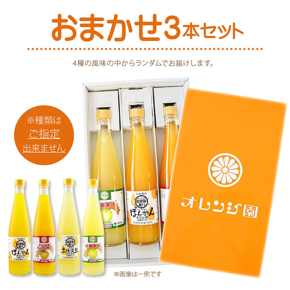 オレンジ園の濃縮ジュース 500ml おまかせ3本入り 3回定期便 希釈用 みかんジュース チューハイ用 ドリンク ジュース 柑橘類 蜜柑 みかん【J00110】