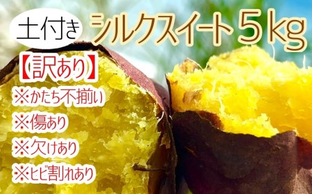 先行予約【訳あり】サツマイモ（シルクスイート）５ｋｇ 農薬化学肥料不使用（土付き）【R00103】