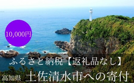 【返礼品なしの応援4】高知県土佐清水市 足摺岬 大自然 さかなのまち まちづくり 10000円 1万円 ふるさと 地域 環境 海山川 遍路道 おまかせ 支援 応援 寄付金 寄付のみ【R00785】