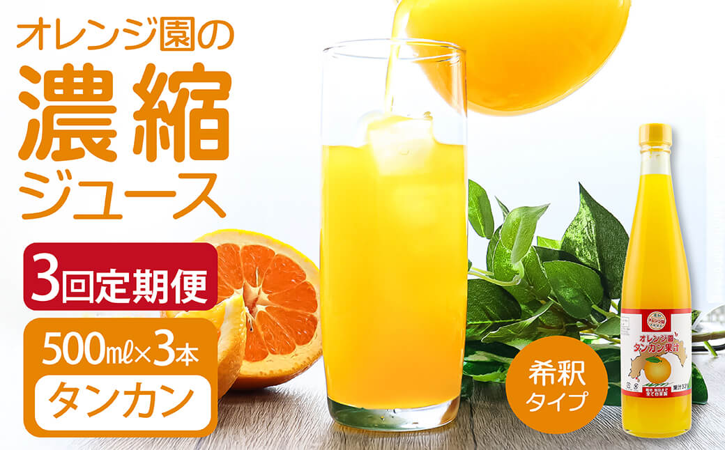 オレンジ園の濃縮ジュース タンカン 500ml 3本 3回定期便 希釈用 みかんジュース チューハイ用 ドリンク ジュース 柑橘類 蜜柑 みかん【J00107】