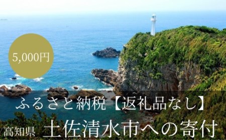 【返礼品なしの応援3】高知県土佐清水市 足摺岬 大自然 さかなのまち まちづくり 5000円 5千円 ふるさと 地域 環境 海山川 遍路道 おまかせ 支援 応援 寄付金 寄付のみ【R00003】