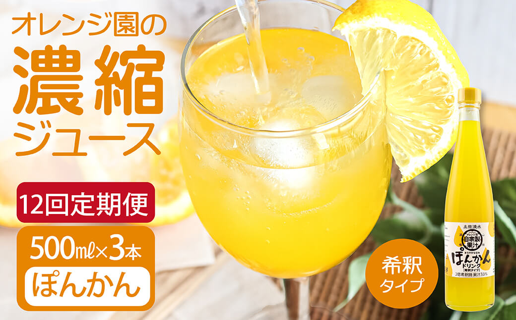 【12回定期便】オレンジ園の濃縮ジュース ぽんかん 500ml 3本 希釈用 みかんジュース チューハイ用 ドリンク ジュース 柑橘類 蜜柑 みかん【J00118】