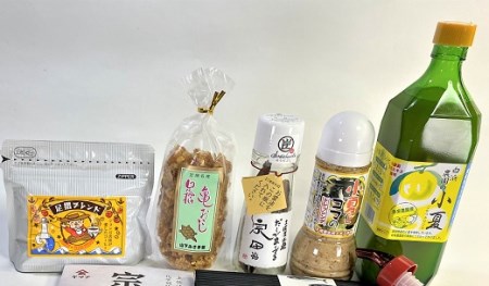 福袋 特産品10品詰め合わせセット（調味料 コーヒー粉 柑橘飲料 お菓子 宗田節など）清水さば かつお節 小夏 ジュース コーヒー ドレッシング 醤油 亀おこし ギフト お中元 お歳暮【R00600】