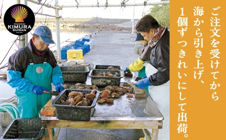 ヒオウギ貝22個セット（ホタテの仲間）アウトドア キャンプ 海鮮BBQ 魚貝  生 貝殻付 活 貝柱 酒蒸し バーベキュー【R00343】