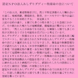 由美子・ピンクの花馬車夢のプロジェクト実現に向けて！あしずりダディー牧場応援（２万円コース）クラウンドファンディング クラファン 馬主 競馬 動物【R00576】