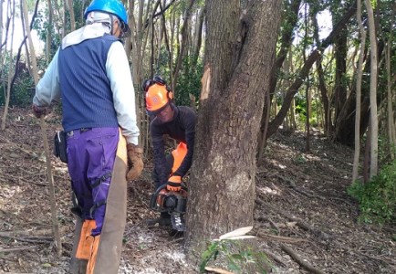 ウバメガシの薪1箱（18kg 長さ約30cm）うばめがし アウトドア キャンプ ストーブ 暖炉 災害備蓄 防災グッズ 薪ストーブ 囲炉裏 窯 バーベキュー BBQ 木材 燃料 自然保護【R01049】