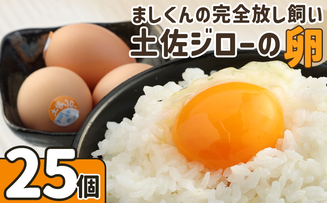 ましくんの完全放し飼い土佐ジローの卵（25個入り）もみ殻梱包 ブランド卵 タマゴ 玉子 たまご 生卵 鶏卵 土佐地鶏 濃厚 新鮮 食品 プレゼント ギフト 送料無料 【R00443】