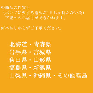 『先行予約』生け簀でお届けヒオウギ貝100個セットエアポンプ付（ホタテの仲間）アウトドア キャンプ 海鮮BBQ 魚貝 刺身 生 貝殻付 活 貝柱 酒蒸し バーベキュー【R00679】