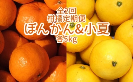 【先行予約】全2回定期便 特産柑橘フルーツ各５kg（ぽんかん＆小夏 ）5キロ みかん ミカン 果物 果実 果肉 デコポンの親 日向夏 おやつ デザート 甘い 美味しい 国産 ギフト 贈答【J00005】