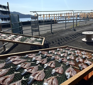 土佐清水発！さばの干物セット 無添加 天日干し 高知県産 鮮魚 冷凍 真空 簡単調理 季節限定【R00834】