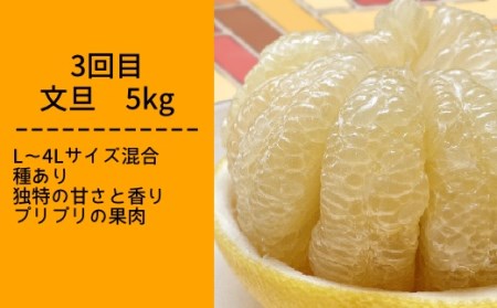 【先行予約】柑橘フルーツ４回定期便（ぽんかん３kg・麗紅３kg・文旦５kg・小夏３kg）みかん４種 果物 果実 柑橘 フルーツ デザート おやつ 美味しい  国産 ギフト プレゼント 贈答【J00018】