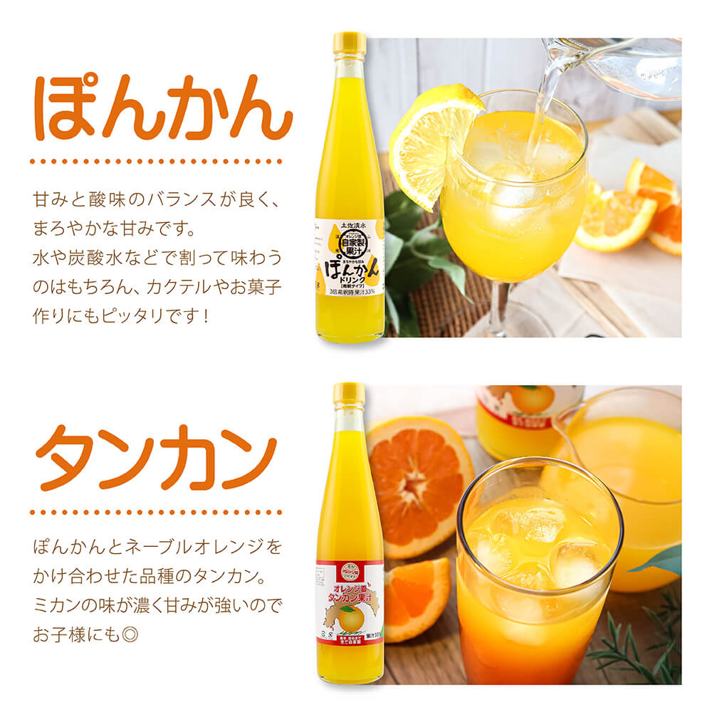 オレンジ園の濃縮ジュース 500ml おまかせ3本入り 6回定期便 希釈用 みかんジュース チューハイ用 ドリンク ジュース 柑橘類 蜜柑 みかん【J00116】