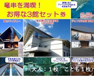 水族館・資料館・展示館　ぐるっと竜串　お得な3館入場券セット（大人1名と子供1名）高知県土佐清水市 観光チケット 旅行券 トラベル【R00203】