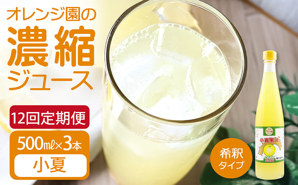 オレンジ園の濃縮ジュース 小夏 500ml 3本 12回定期便 希釈用 みかんジュース チューハイ用 ドリンク ジュース 柑橘類 蜜柑 みかん【J00121】