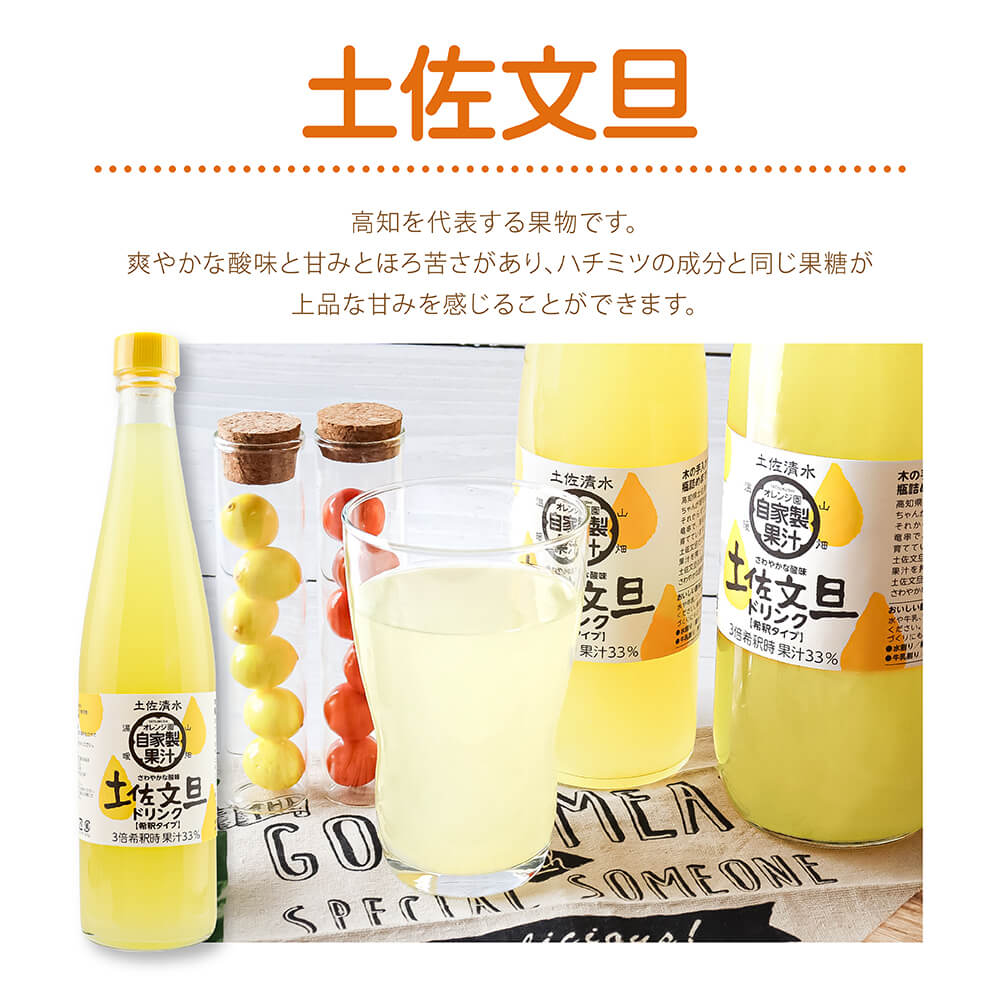 オレンジ園の濃縮ジュース 土佐文旦 500ml 3本 6回定期便 希釈用 みかんジュース チューハイ用 ドリンク ジュース 柑橘類 蜜柑 みかん【J00114】