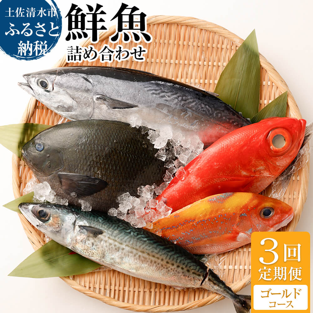 <3回定期便> 季節の鮮魚 おまかせお楽しみセット（ゴールドコース）天然魚 食べ比べ 魚介類 海鮮料理 魚 鮮魚 新鮮 刺し身 煮付け お楽しみ 定期便 3ヶ月 高知 【J00047】