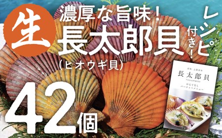 ヒオウギ貝42個セット（ホタテの仲間）アウトドア キャンプ 海鮮BBQ 魚貝  生 貝殻付 活 貝柱 酒蒸し バーベキュー【R00570】