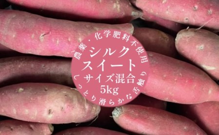 先行予約 サツマイモ（シルクスイート）５ｋｇ 農薬化学肥料不使用（洗い）【R00162】