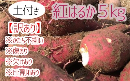 先行予約【訳あり】サツマイモ（紅はるか）５ｋｇ 農薬化学肥料不使用（土付き）【R00104】