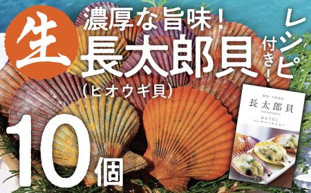 ヒオウギ貝10個セット（ホタテの仲間）アウトドア キャンプ 海鮮BBQ 魚貝 生 貝殻付 活 貝柱 酒蒸し バーベキュー【R00082】