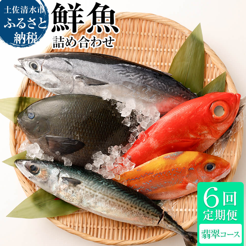 <6回定期便> 季節の鮮魚 おまかせお楽しみセット（翡翠コース）天然魚 食べ比べ 魚介類 海鮮料理 魚 鮮魚 新鮮 刺し身 煮付け お楽しみ 定期便 6ヶ月 高知 【J00049】