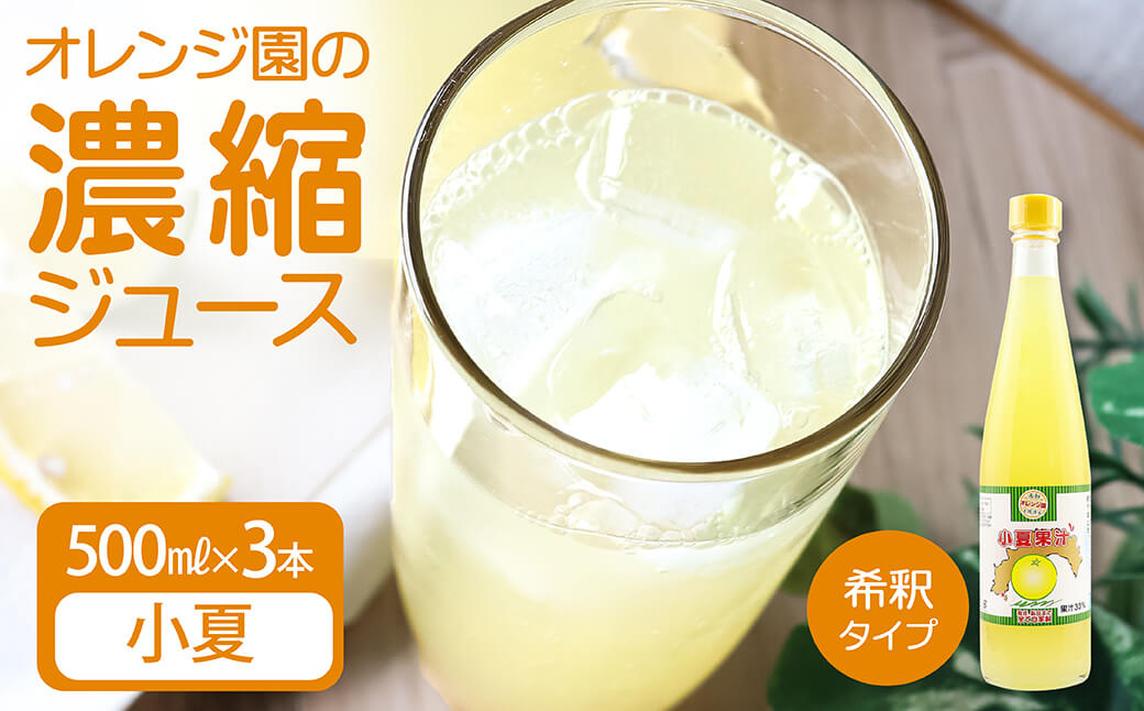 オレンジ園の濃縮ジュース 小夏 500ml 3本 希釈用 みかんジュース チューハイ用 ドリンク ジュース 柑橘類 蜜柑 みかん【R01120】