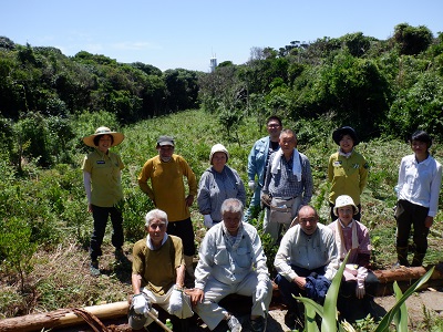 【記念苗木付き】足摺ヤブ椿再生プロジェクトへの支援・応援 自然保護 椿 つばき ツバキ 藪椿 ヤブツバキ クラウドファンディング 募金 先行予約 苗木 植木 花木 常緑樹 高木 植物【R00080】