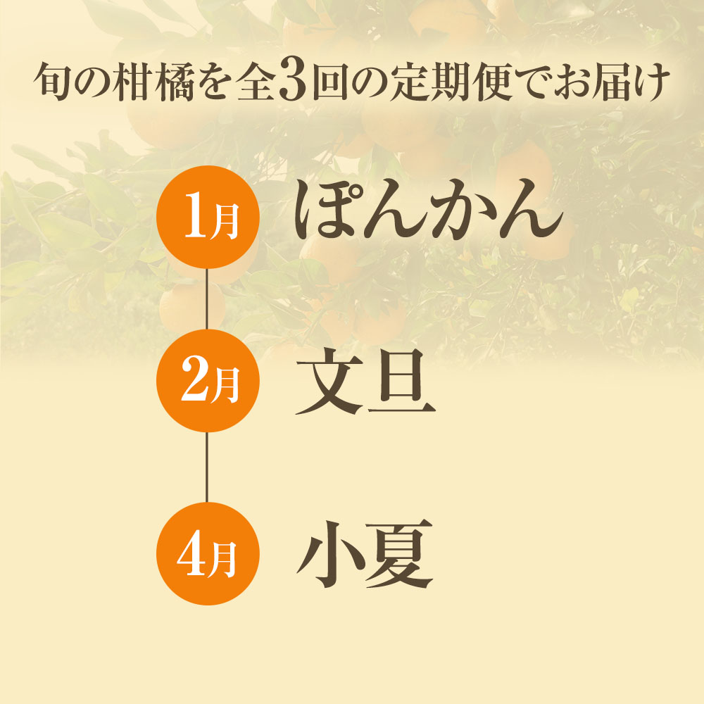 【先行予約】 オレンジ園の柑橘3種（ぽんかん・文旦・小夏）各5kg 3回定期便 ポンカン ぶんたん こなつ 果物 蜜柑 みかん ミカン 柑橘 フルーツ デザート 国産 常温 配送【J00104】