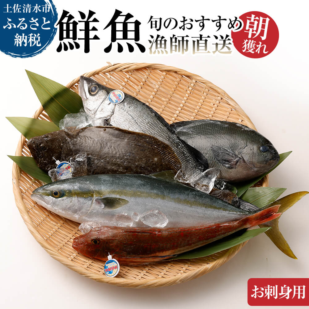 旬の朝獲れ鮮魚（刺身用）漁師おすすめセット【以布利定置網　漁師直送】朝獲れ 旬 さしみ お刺身 鮮魚 魚介 海鮮 魚 さかな せんぎょ 鮮魚セット 詰め合わせ おまかせ お任せ【S00822】