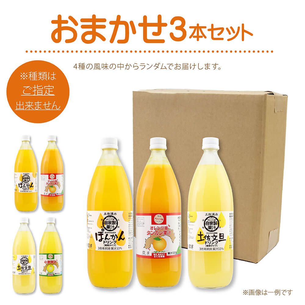 オレンジ園の濃縮ジュース 1L おまかせ3本入り 希釈用 みかんジュース チューハイ用 ドリンク ジュース 柑橘類 蜜柑 みかん【R00539】