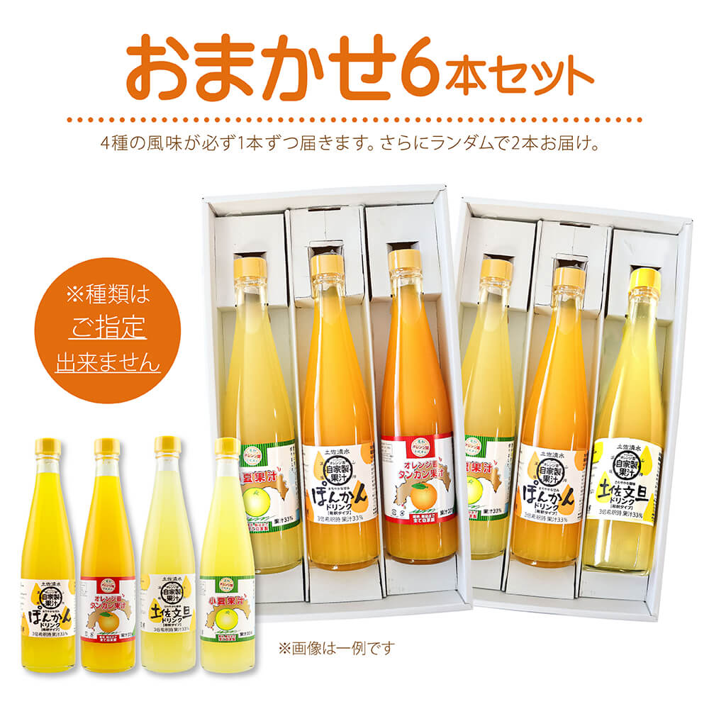 オレンジ園の濃縮ジュース 500ml おまかせ6本入り 6回定期便 希釈用 みかんジュース チューハイ用 ドリンク ジュース 柑橘類 蜜柑 みかん【J00117】