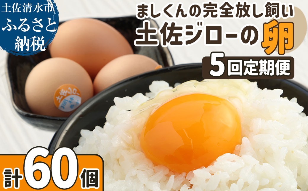 【ふるさと納税】土佐ジローの卵 定期便（12個入り×5回）もみ殻梱包 ブランド卵 タマゴ たまご 卵 毎月 定期コース 土佐ジロー 卵焼き 卵かけごはん 卵料理 送料無料 お取り寄せ【J00132】