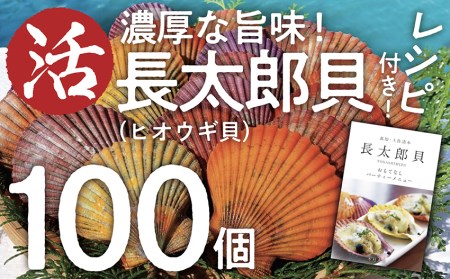 『先行予約』生け簀でお届けヒオウギ貝100個セットエアポンプ付（ホタテの仲間）アウトドア キャンプ 海鮮BBQ 魚貝 刺身 生 貝殻付 活 貝柱 酒蒸し バーベキュー【R00679】