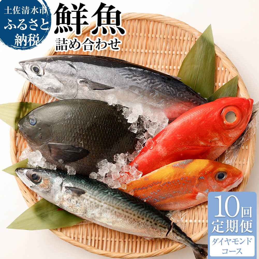 <10回定期便> 季節の鮮魚 おまかせお楽しみセット（20万円ダイヤモンドコース）天然魚 食べ比べ 魚介類 海鮮料理 魚 鮮魚 新鮮 刺し身 お楽しみ 定期便 高知 【J00051】