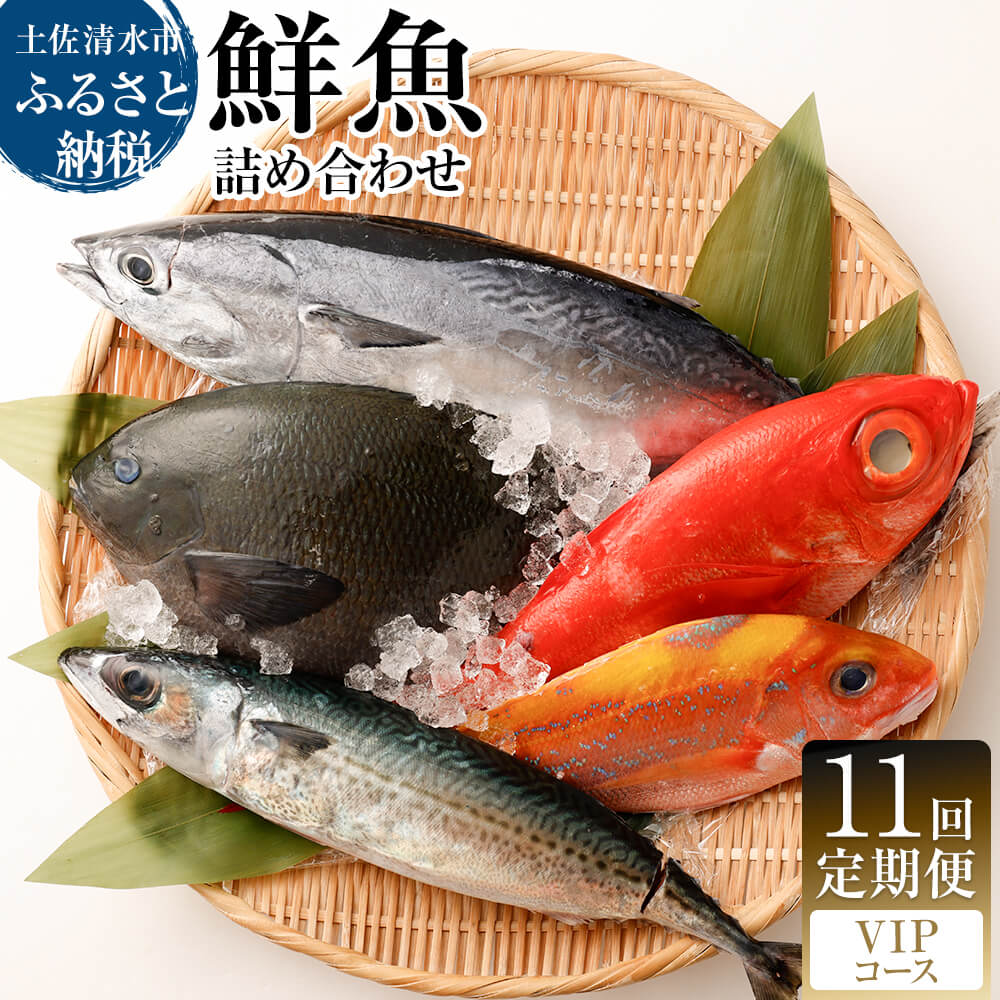 <11回定期便> 季節の鮮魚 おまかせお楽しみセット （ＶＩＰコース） 天然魚 食べ比べ 魚介類 海鮮料理 魚 鮮魚 新鮮 刺し身  お楽しみ 定期便 11ヶ月 高知 【J00056】