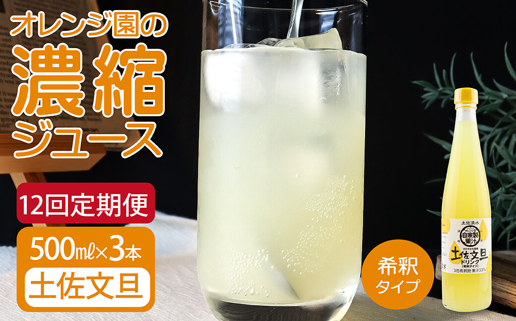 オレンジ園の濃縮ジュース 土佐文旦 500ml 3本 12回定期便 希釈用 みかんジュース チューハイ用 ドリンク ジュース 柑橘類 蜜柑 みかん【J00120】